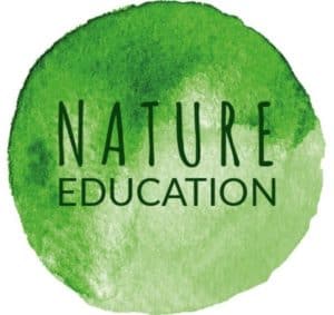 Santa Marinella, il campetto da basket cambierà look: l'Ass. Nature Education lancia una raccolta fondi