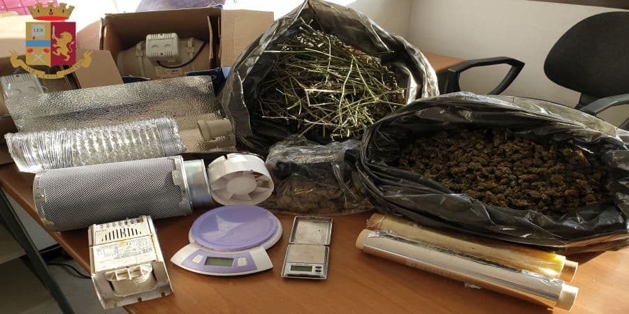 Trovata in casa 3 kg di “Maria”: in manette 27enne