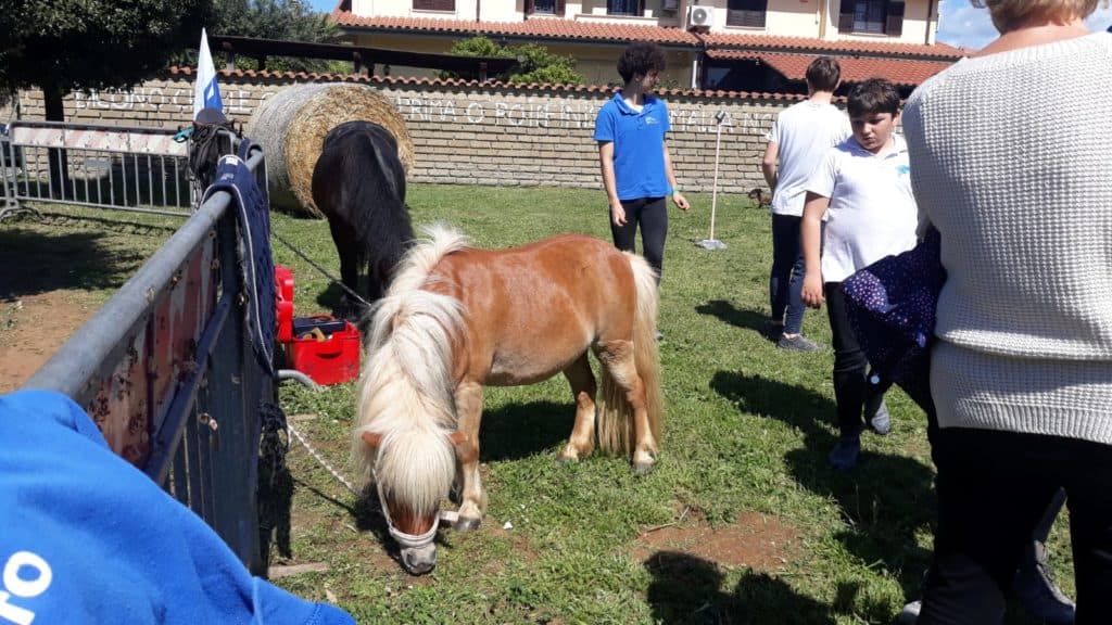 Space in Action, buona la seconda