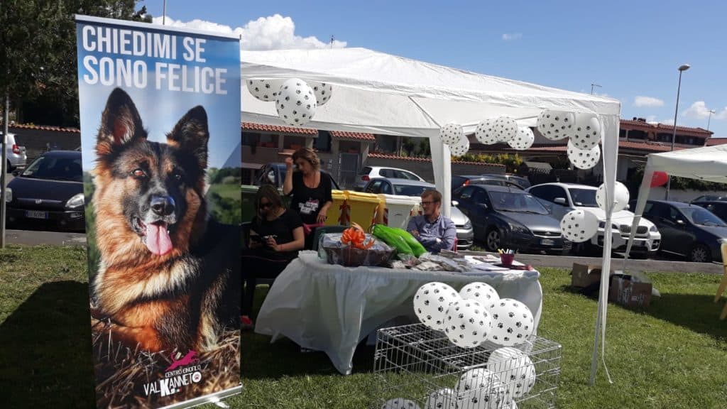 Space in Action, buona la seconda