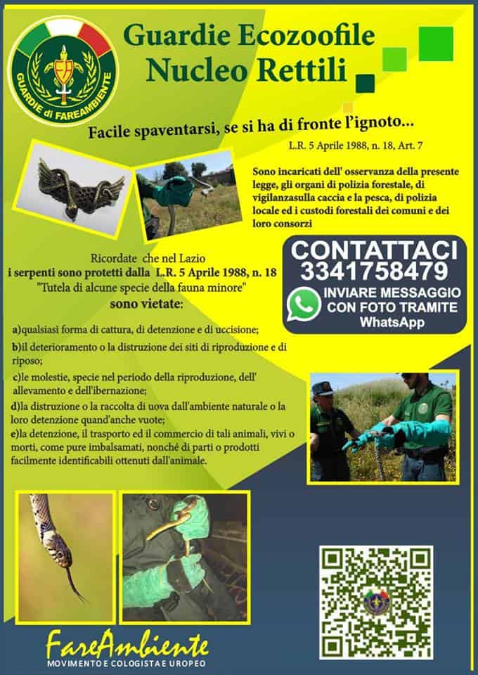 Fareambiente Cerveteri: la maggior parte dei serpenti italiana è innocua-