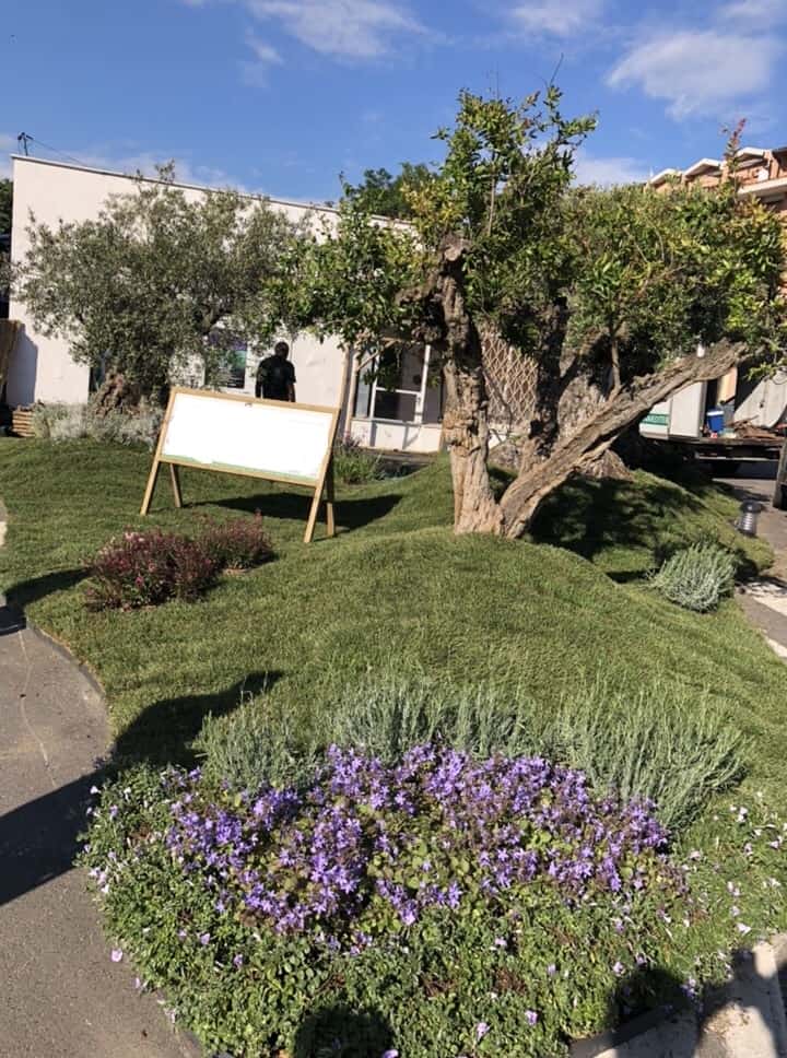 Sagra dell’Asparago Verde: al via la seconda edizione del concorso “L’aiuola più bella”