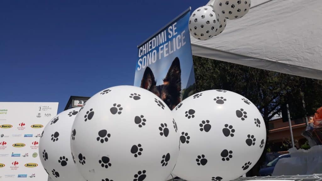 Space in Action, buona la seconda