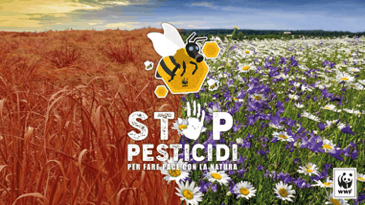 Domenica 14 aprile Flash Mob "per fare pace con la natura"