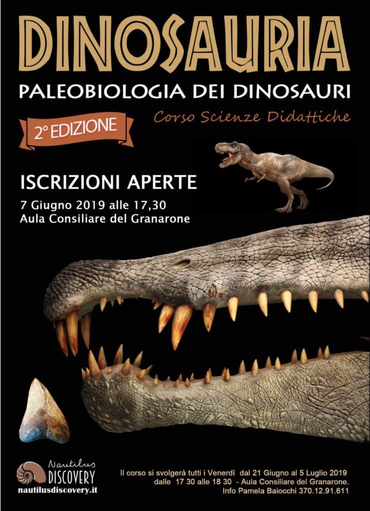 Cerveteri, aperte le iscrizioni all’edizione estiva del corso per bambini ‘Dinosauria’