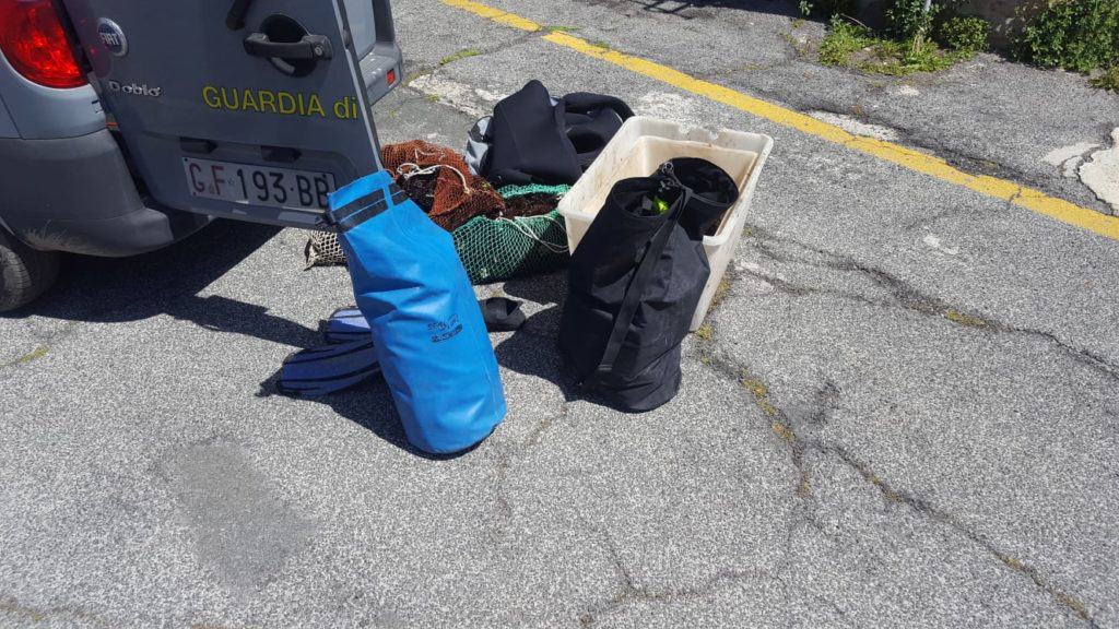 Sequestrati oltre 600 ricci di mare