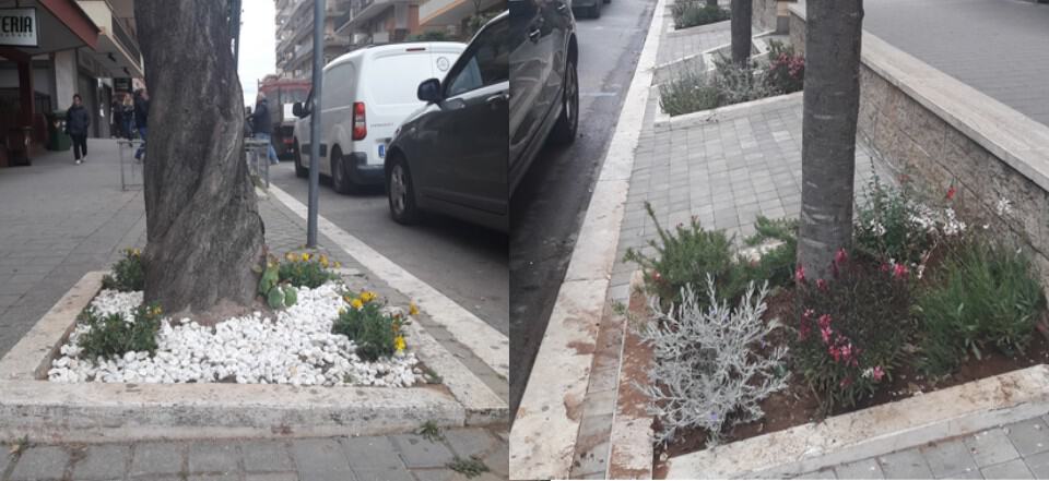 Ladispoli, a viale Italia sbocciano le aiuole