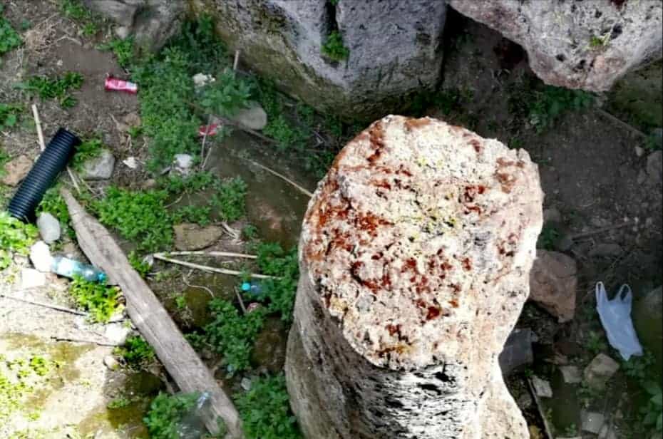 Parco della Legnara, la denuncia social di Casapound