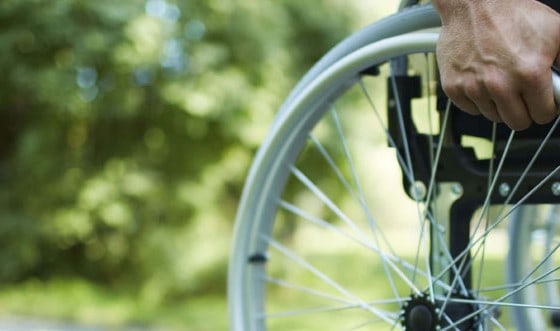 Ladispoli, trasporto scolastico: da lunedì la domanda per contributi alunni con disabilità