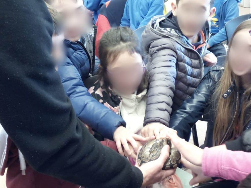 Cerveteri, oltre 100 bambini incantati dal mondo dei serpenti