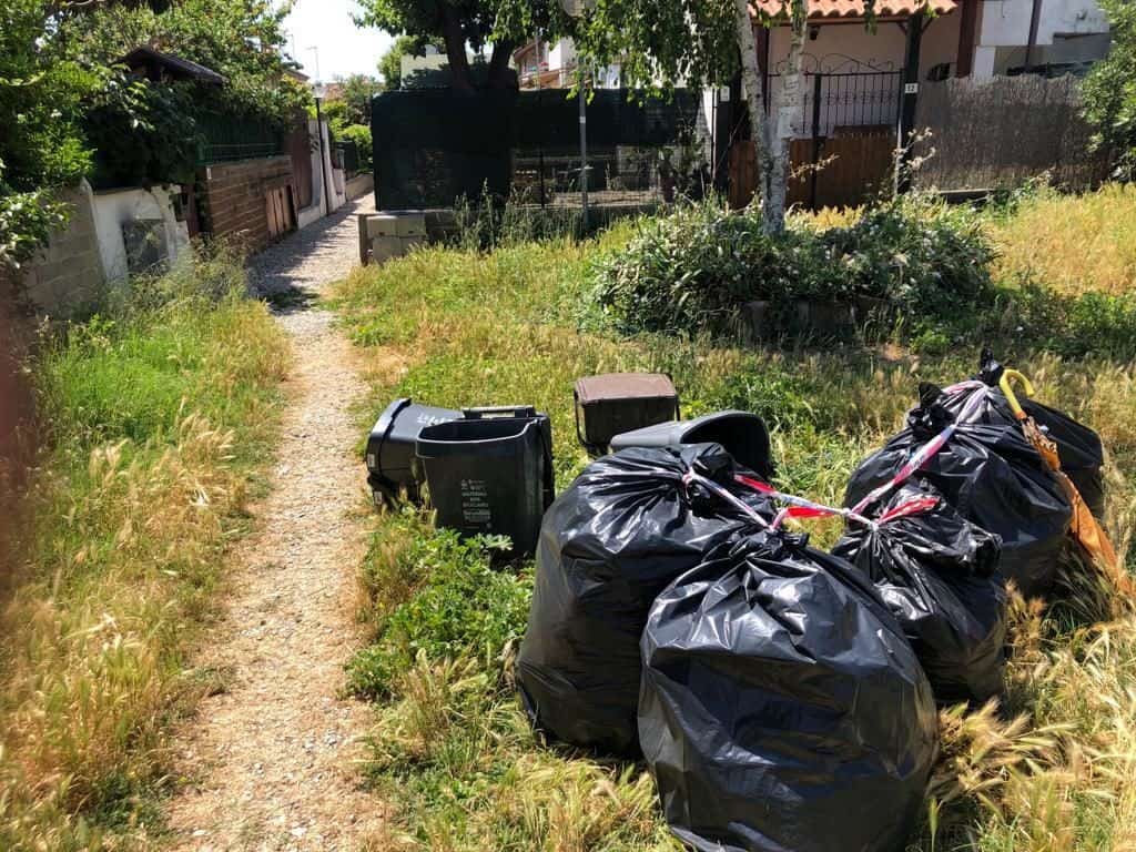 Cerveteri, igiene urbana: 11 sanzioni e due denunce penali nei controlli delle Zoofile