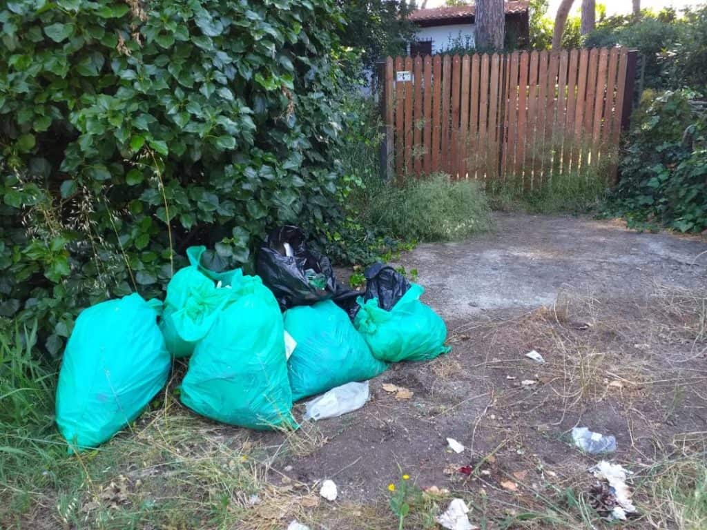 Cerveteri, igiene urbana: 11 sanzioni e due denunce penali nei controlli delle Zoofile