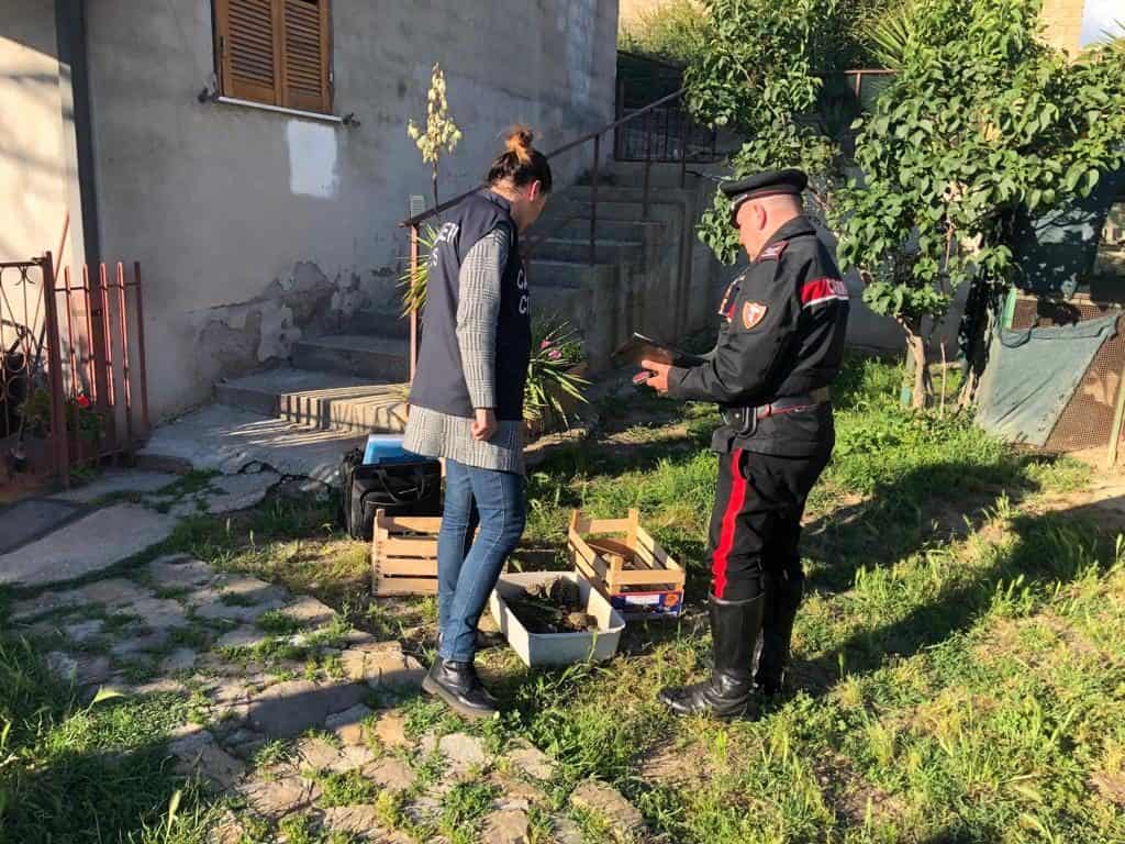 Civitavecchia, spacciava eroina nella pausa caffè. Arrestato dai Carabinieri
