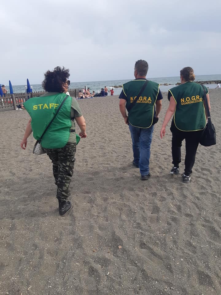 Estate 2019, scattano i controlli sulle spiagge 