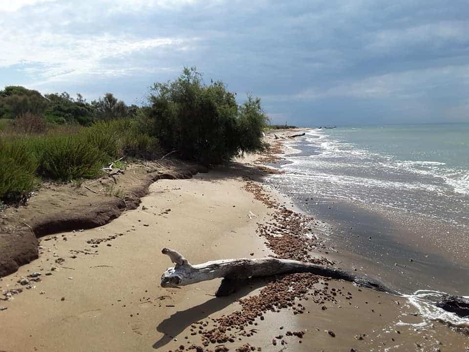 Una passeggiata con i "Giganti" a Macchiatonda