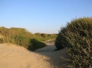 Dune di sabbia in Europa: anche Ostia nella selezione di Virail