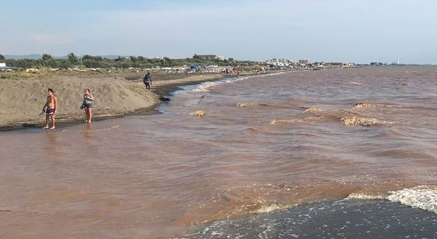 Fregene, invasione di alghe sul litorale: turisti in fuga dalle spiagge