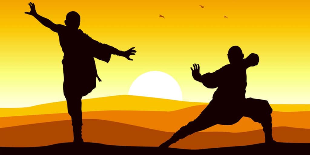 Il Gabbiano e il Tai Chi: tutti i benefici nel percorrere la via per il benessere