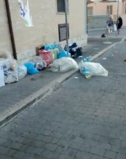 Ladispoli, lungomare invaso dai rifiuti
