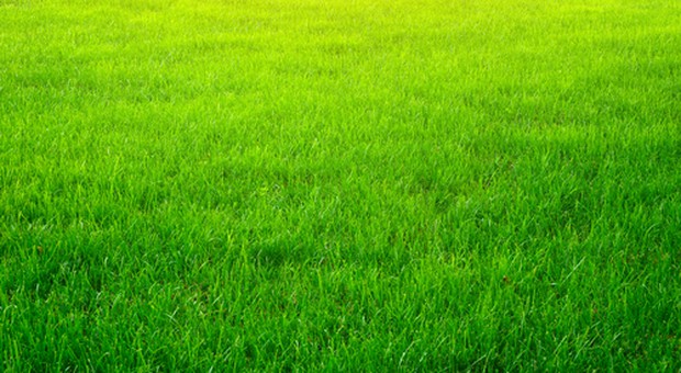 Lavoro, boom di assunzioni nelle energie rinnovabili