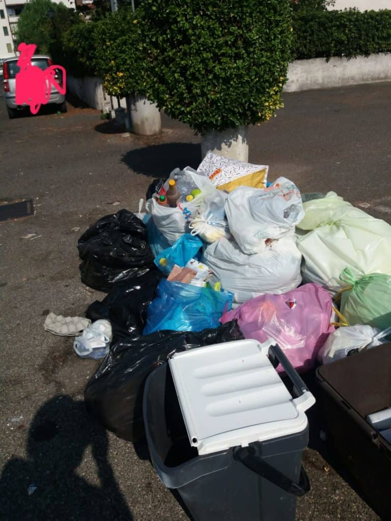 Cerveteri, blitz delle Guardie Ecozoofile di Fare Ambiente in Via Felsina