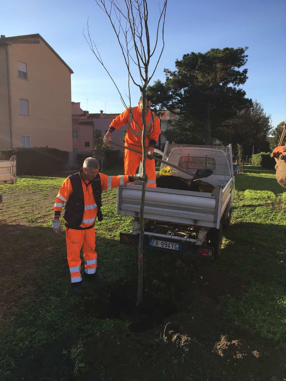Cerveteri, Multiservizi pubblica programmazione interventi verde 18-22 novembre - BaraondaNews