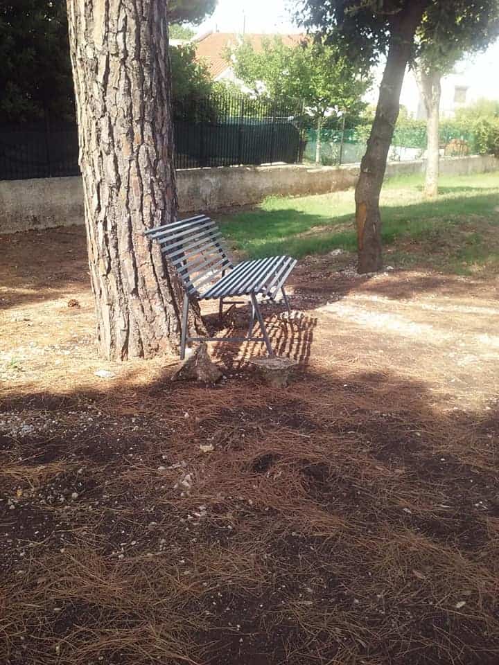 Il disagio di "Parco Marco Vannini" con erbacce alte mezzo metro