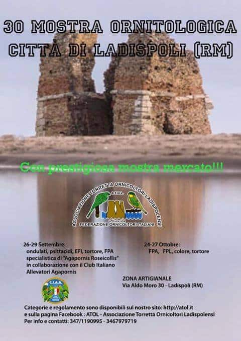 Ladispoli, tutto pronto per la 30esima mostra ornitologica 