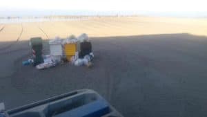 Ladispoli, avviata la pulizia delle spiagge