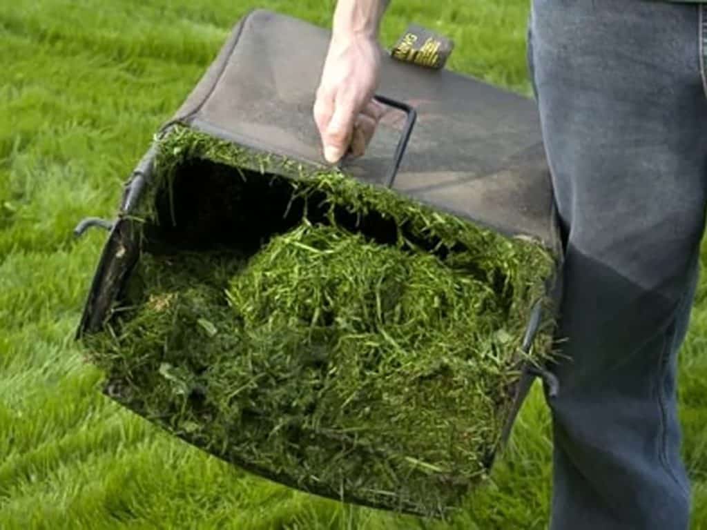 Ladispoli, sfalci e calcinacci: revocato l'affidamento alla Recin