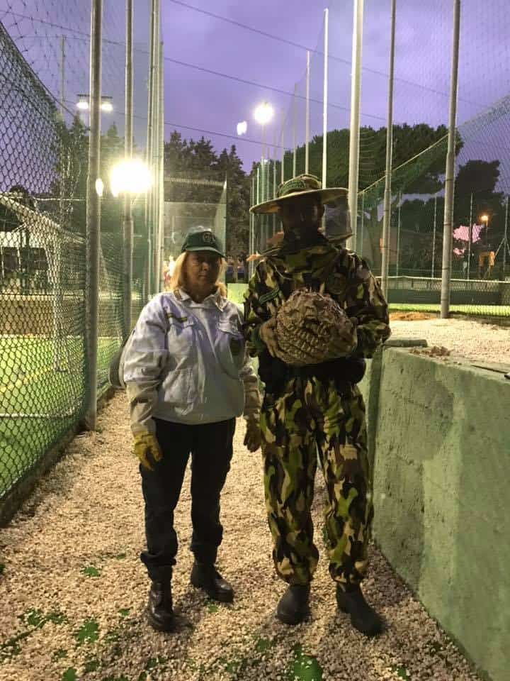 Cerveteri, pericolo per l'incolumità dei cittadini. N.U.B.I. rimuove colonia di vespa crabro