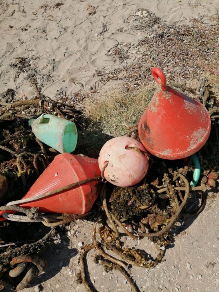 Civitavecchia, rimossi ormeggi abusivi in località La Frasca