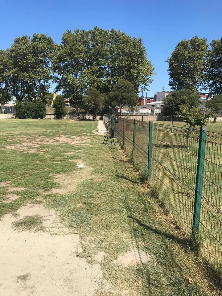 "Fiumicino, risolti i problemi dell'area cani di villa Guglielmi"
