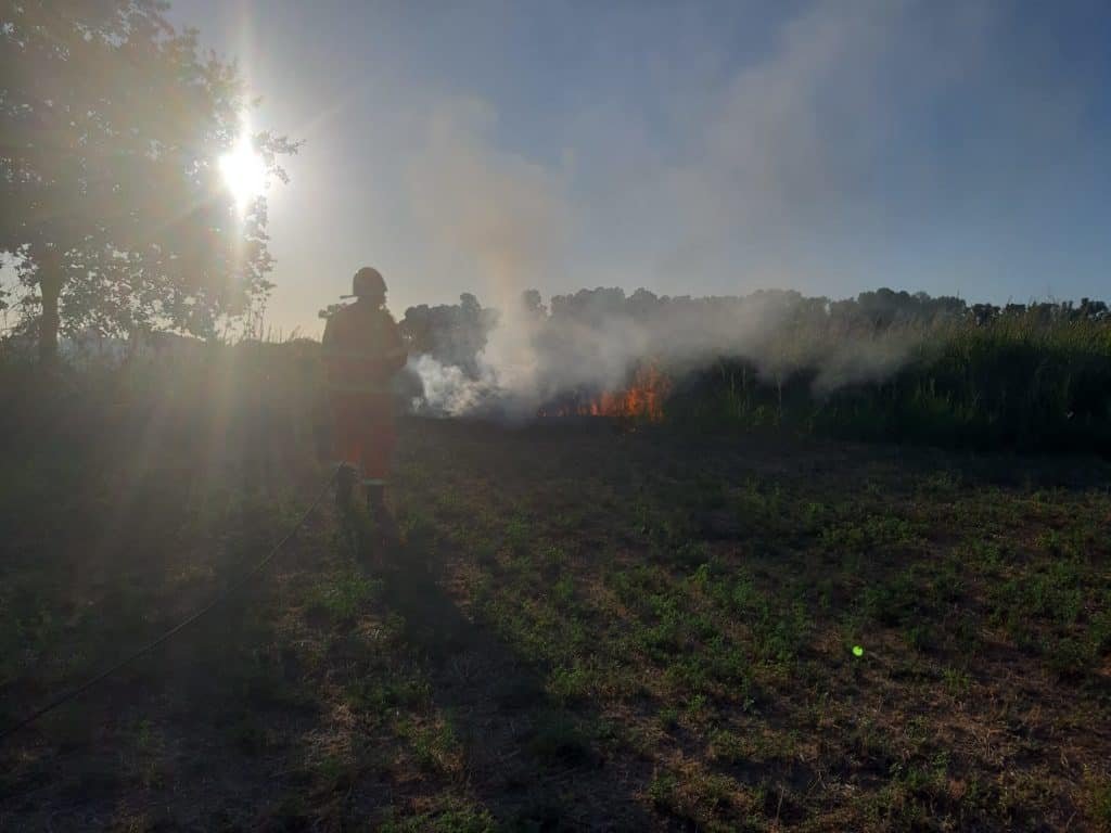 Cerveteri, sterpaglie a fuoco in via strada della sassatera