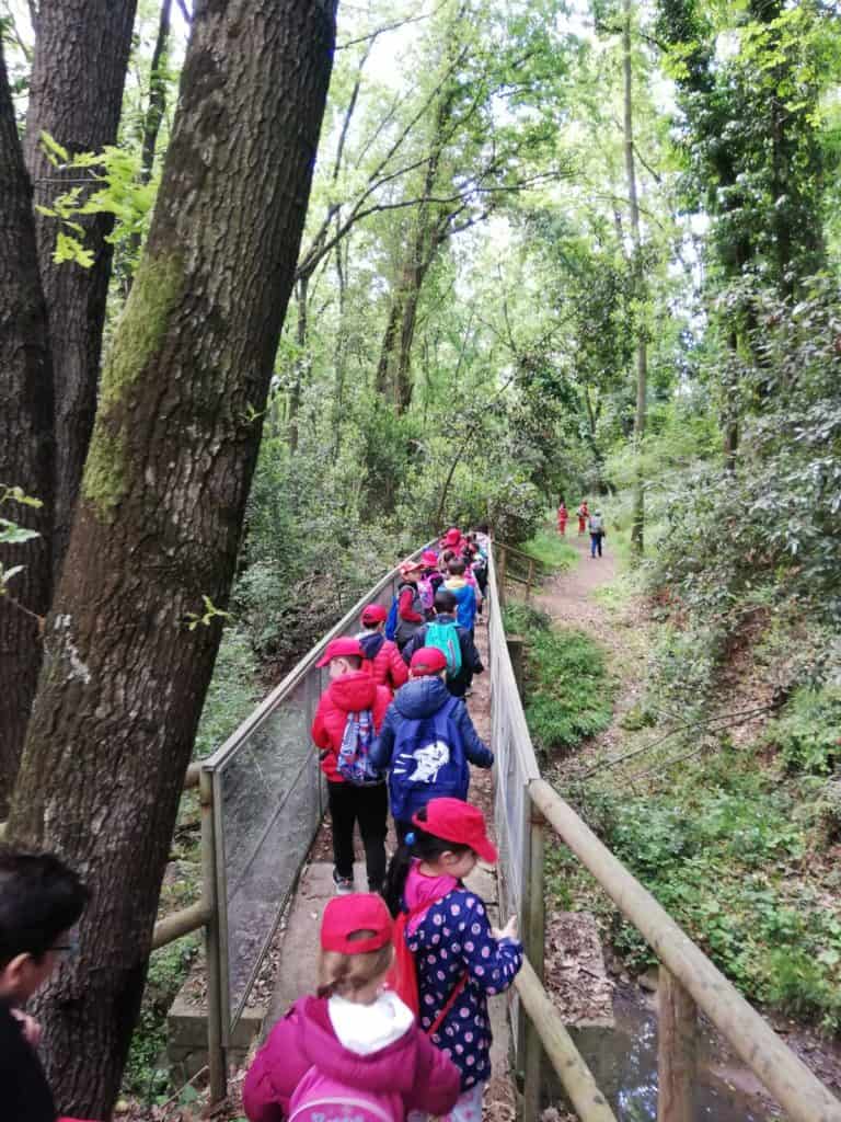 Cerveteri, "Una domenica al bosco di Valcanneto" con Scuolambiente