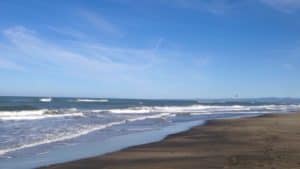 Fiumicino, ''300 mila euro per realizzare impianto di filtraggio delle acque dei canali''