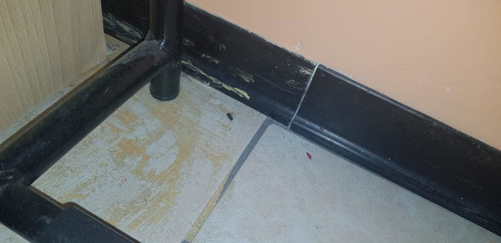 Borgo San Martino, ''Dopo gli interventi ancora escrementi di ratto e sporcizia''