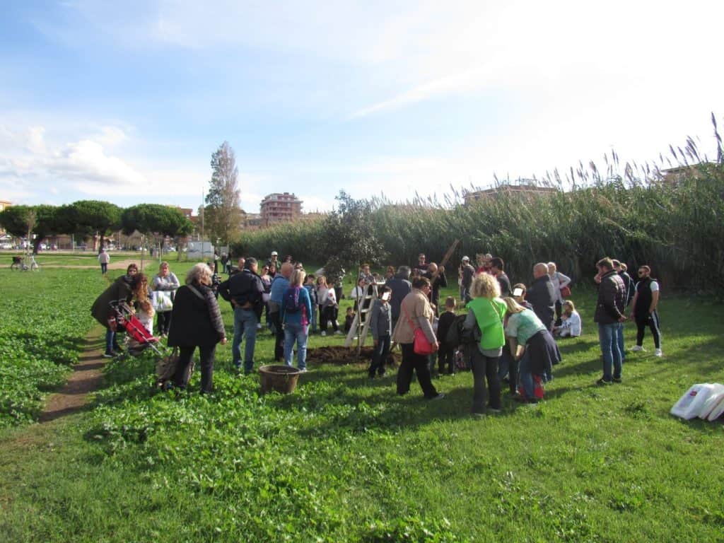 https://baraondanews.it/ladispoli-intitola-il-giardino-di-viale-mediterraneo-ad-angelo-vassallo/