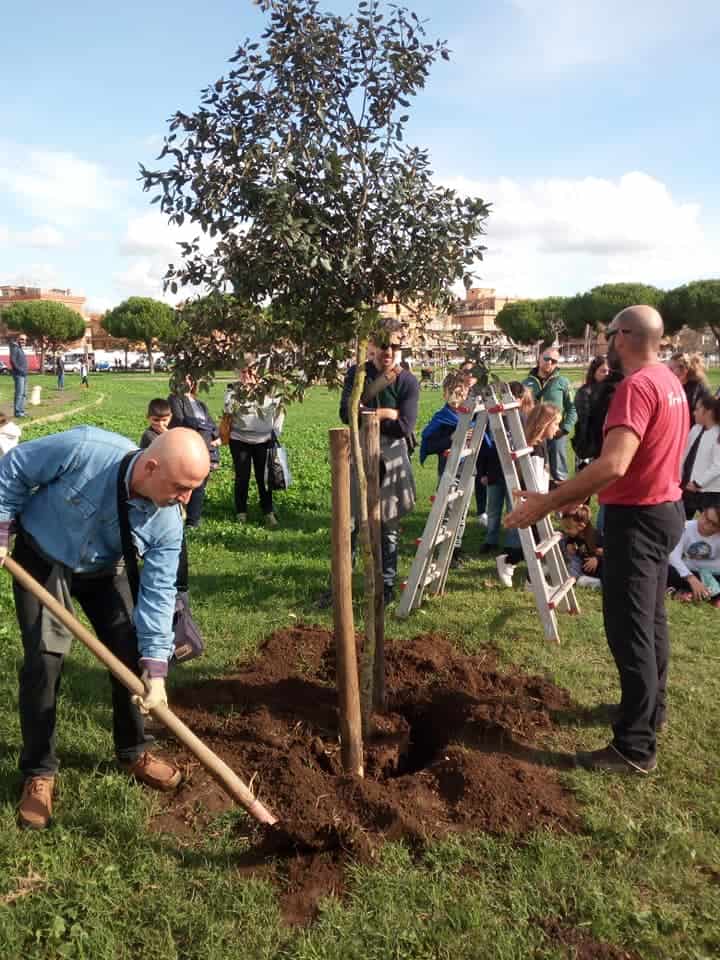 Ladispoli, salvaguardia del verde urbano. Oggi la quarta 'Marcia degli Alberi'
