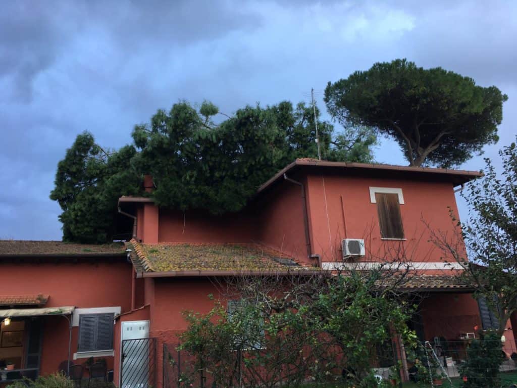 Fiumicino, albero si abbatte su una abitazione
