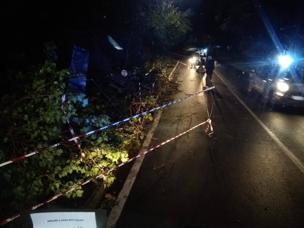 Bracciano, cadono alberi su via Claudia: interdetta parte della carreggiata
