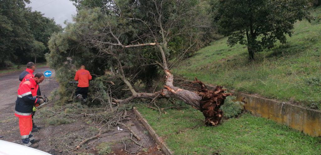 Cerveteri, il maltempo non risparmia la Città Etrusca: Protezione Civile operativa in tutto il territorio