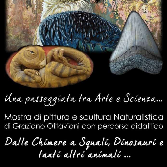 Cerveteri, da domani la mostra naturalistica di Graziano Ottaviani