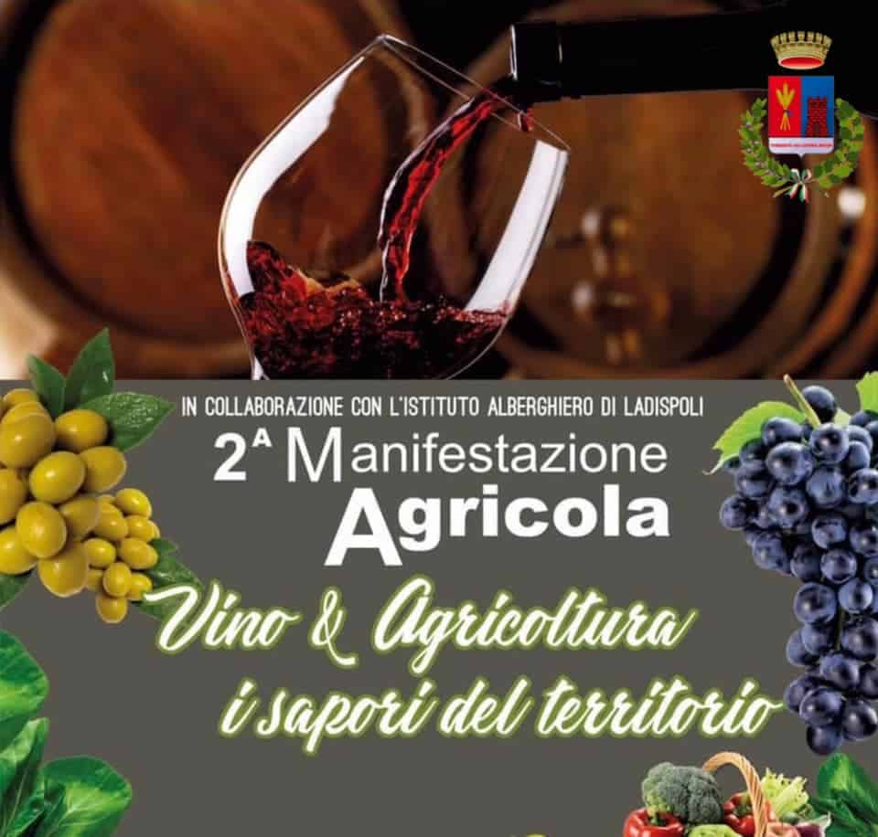 Ladispoli, Grando: "Vino & Agricoltura, i sapori della terra si farà"