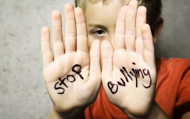 È lì che tutti i giorni a piazzarsi sotto la stessa finestra.