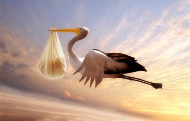 Il 25 dicembre il nostro direttore di Baraondanews è divenuto Papà per la prima volta 