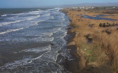 Il responsabile di Torre Flavia: "Capiamo il vostro disagio ma questo sacrificio potrebbe salvare due specie"