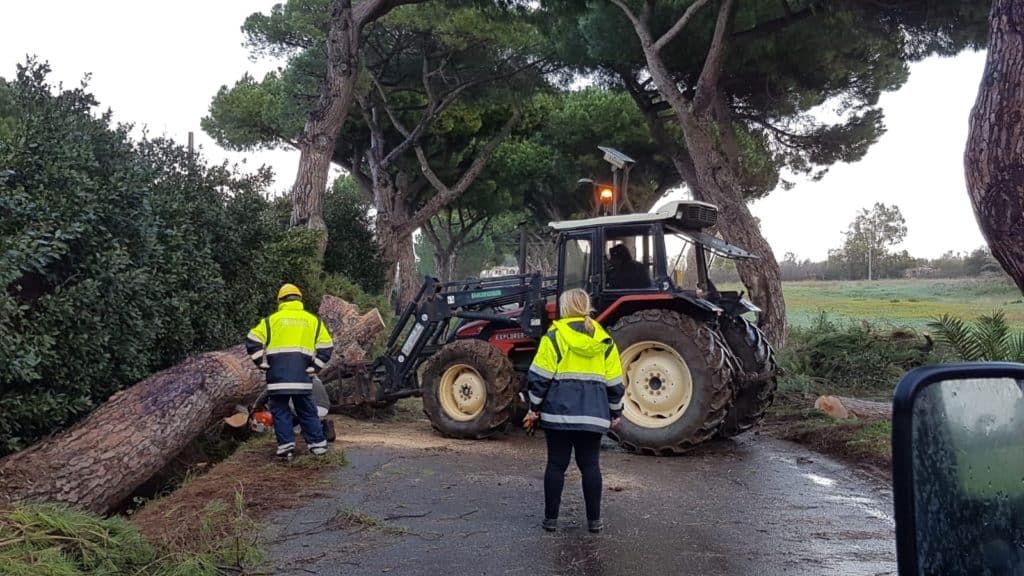 Ladispoli, il comune ringrazia i volontari della Protezione civile
