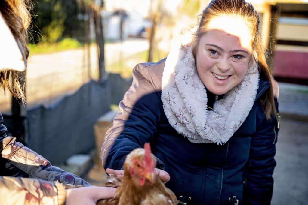 Fiumicino, nel maneggiano dove lavorano 3 ragazzi con disabilità ....