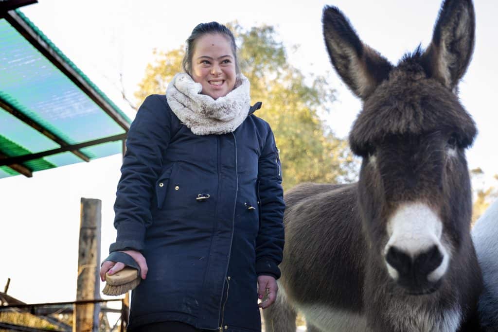 Fiumicino, nel maneggiano dove lavorano 3 ragazzi con disabilità ....